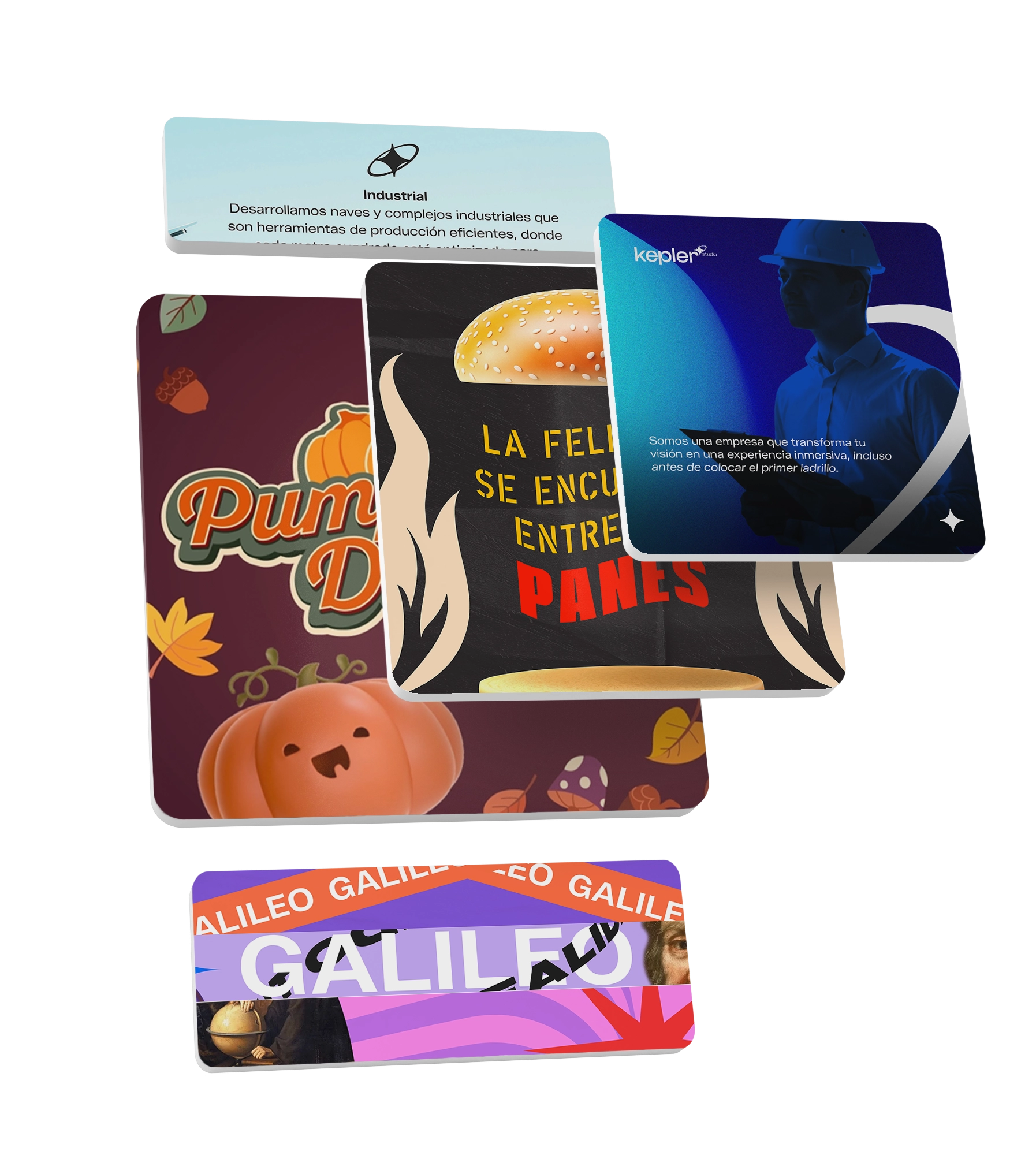 Portfolio Display